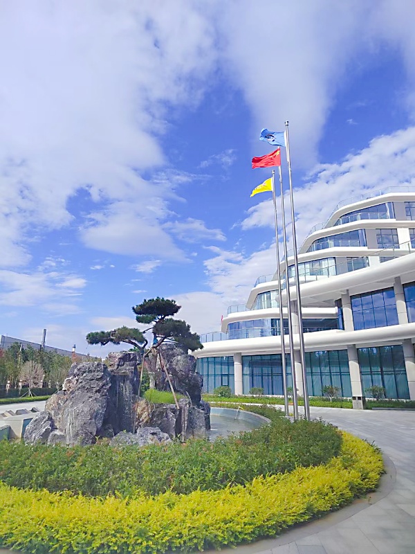 Visit to Puze Health Industrial Park