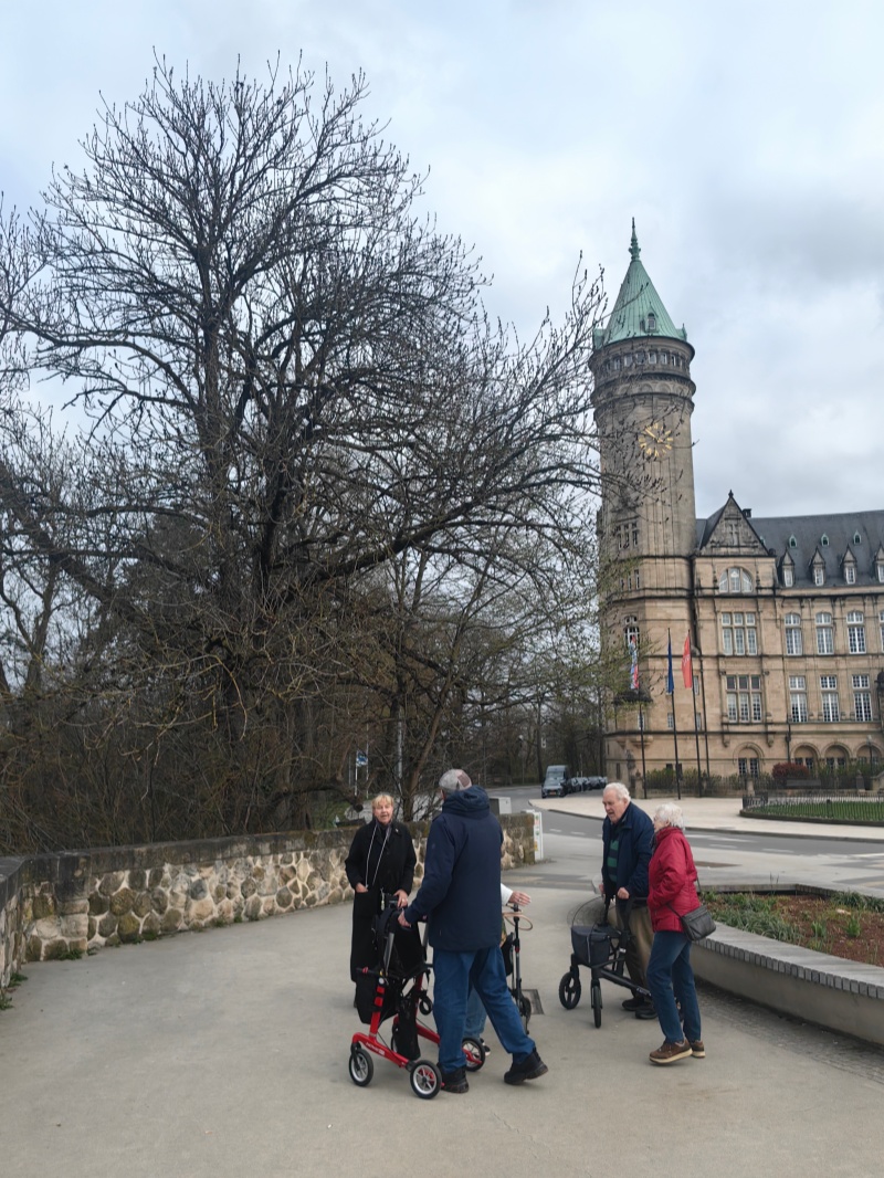 Our Three-Week European Study Tour: Deep Insights for Age-Friendly Innovation