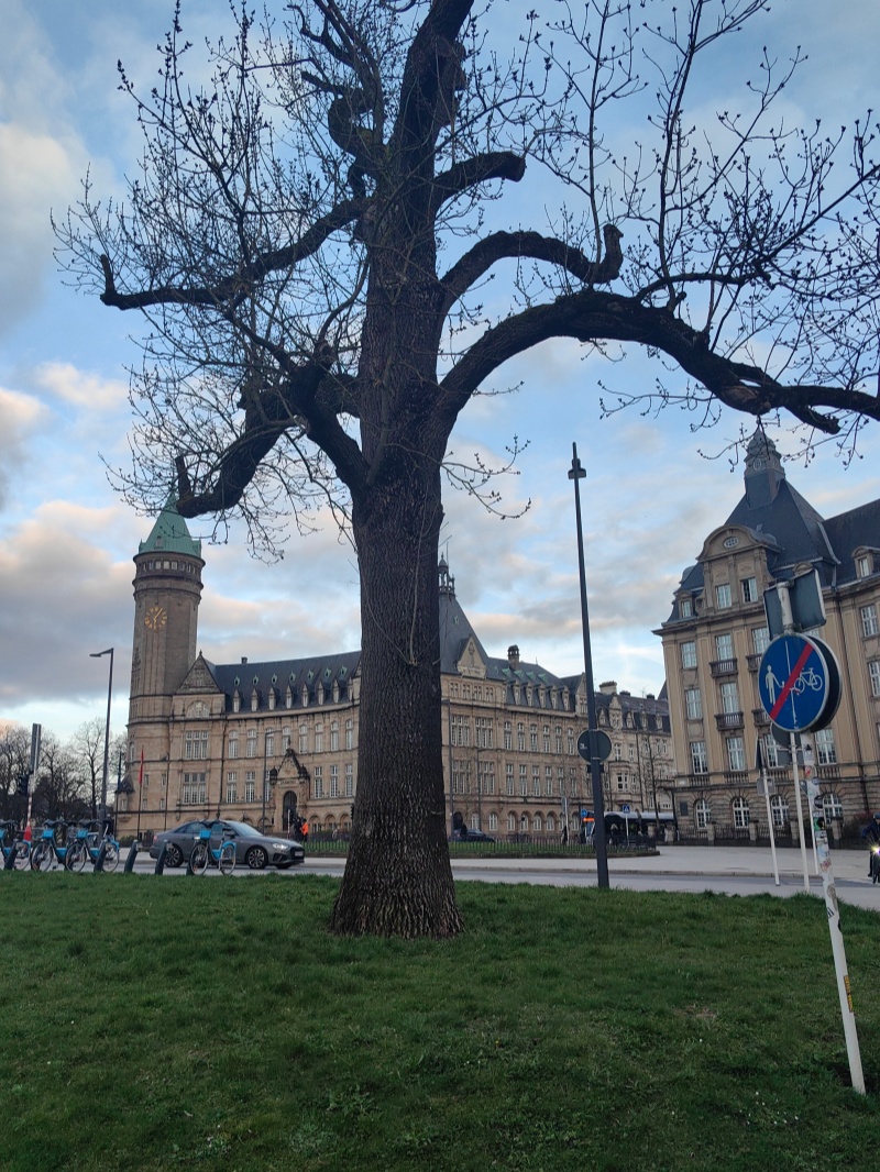 Our Three-Week European Study Tour: Deep Insights for Age-Friendly Innovation