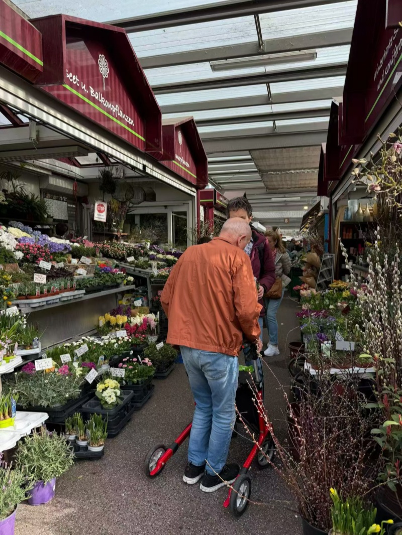 Our Three-Week European Study Tour: Deep Insights for Age-Friendly Innovation